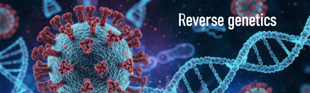 Reverse genetics
